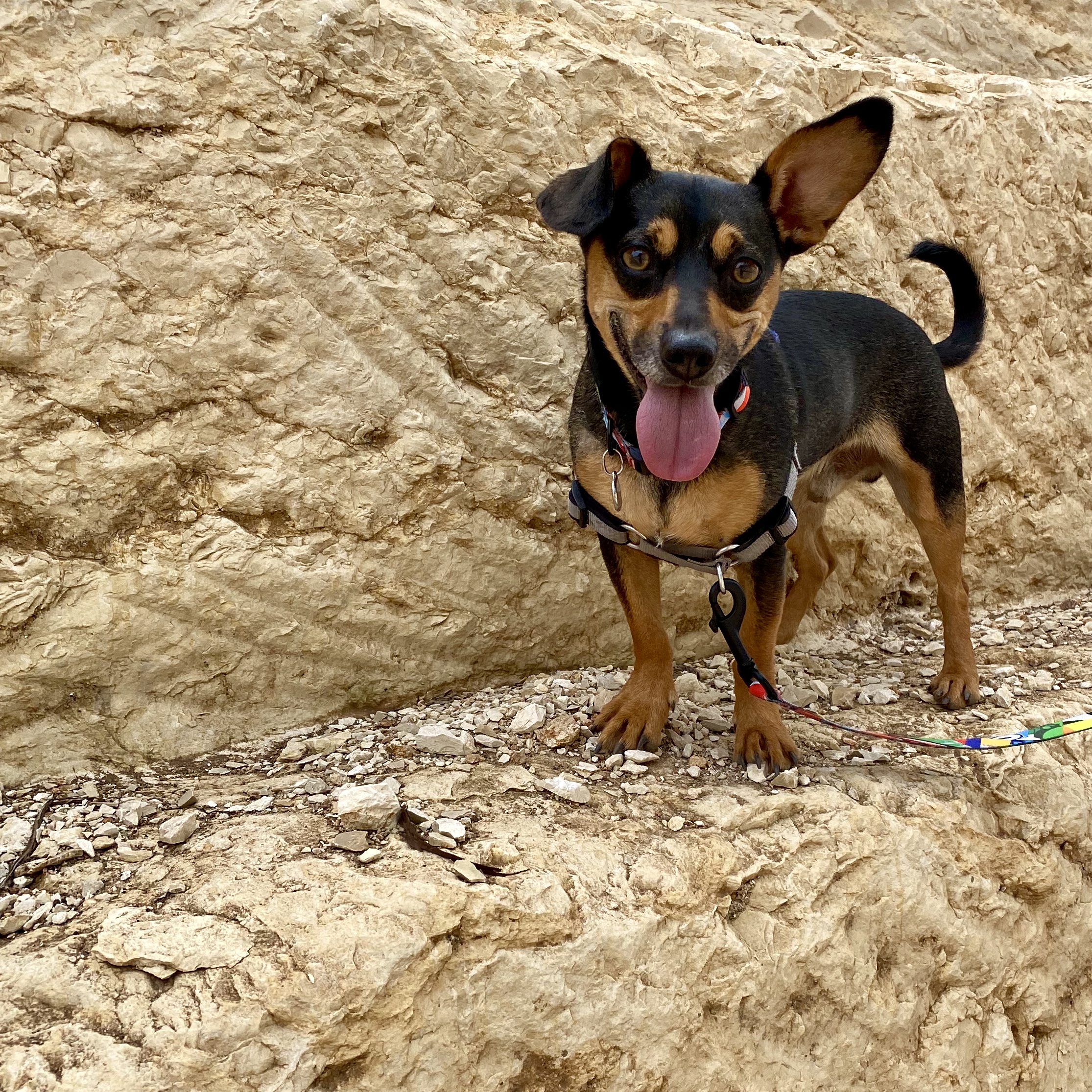 Guest Post: Hillview Natural Trail